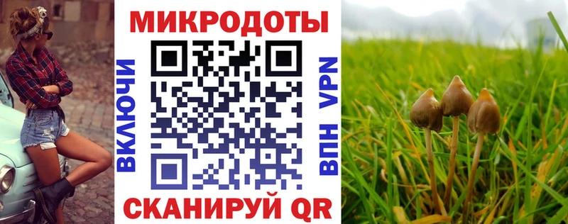 сколько стоит  Сорочинск  Галлюциногенные грибы MAGIC MUSHROOMS 
