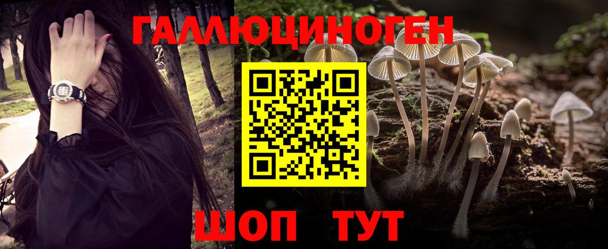 Псилоцибиновые грибы ЛСД  Вход с VPN  Сорочинск  Галлюциногенные грибы прущие грибы 